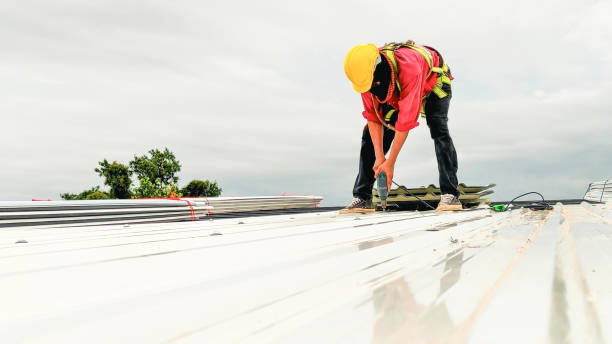 Best Steel Roofing  in Powell, WY