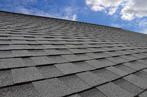 Best Metal Roofing Installation  in Powell, WY