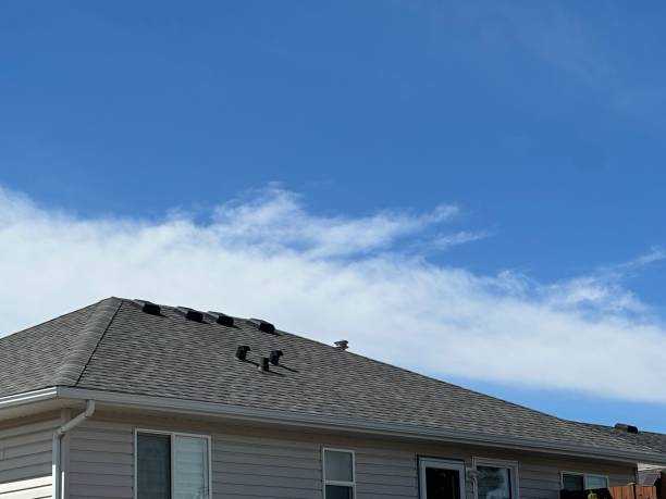 Best Hot Roofs  in Powell, WY